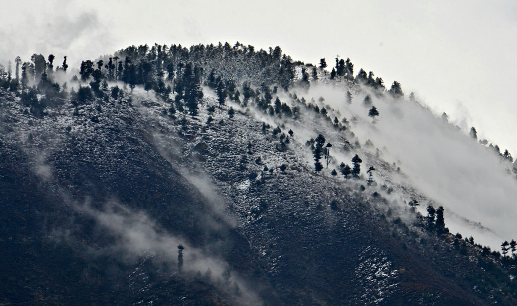 The snow covered white hill doted with green trees at Srinagar, Kashmir.