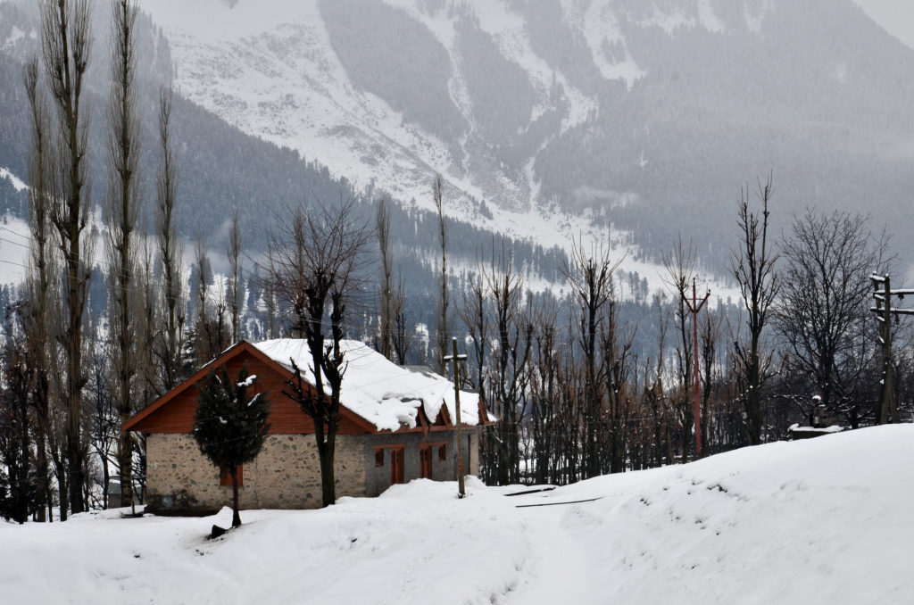 Gagangir village, Sonmarg, Kashmir.