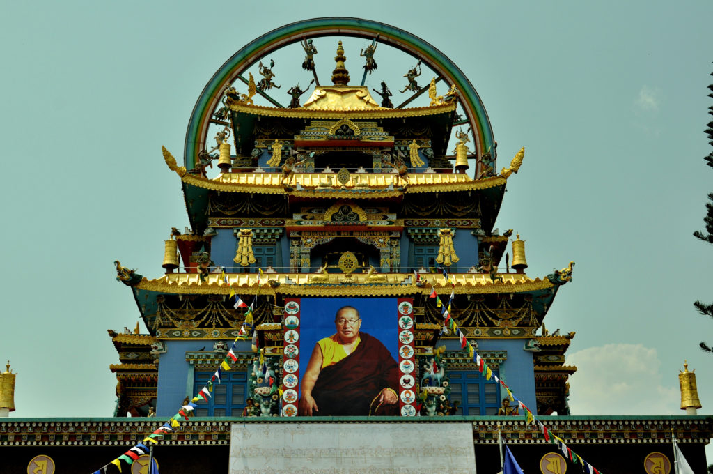 The portrait of Pema Norbu Rinpoche