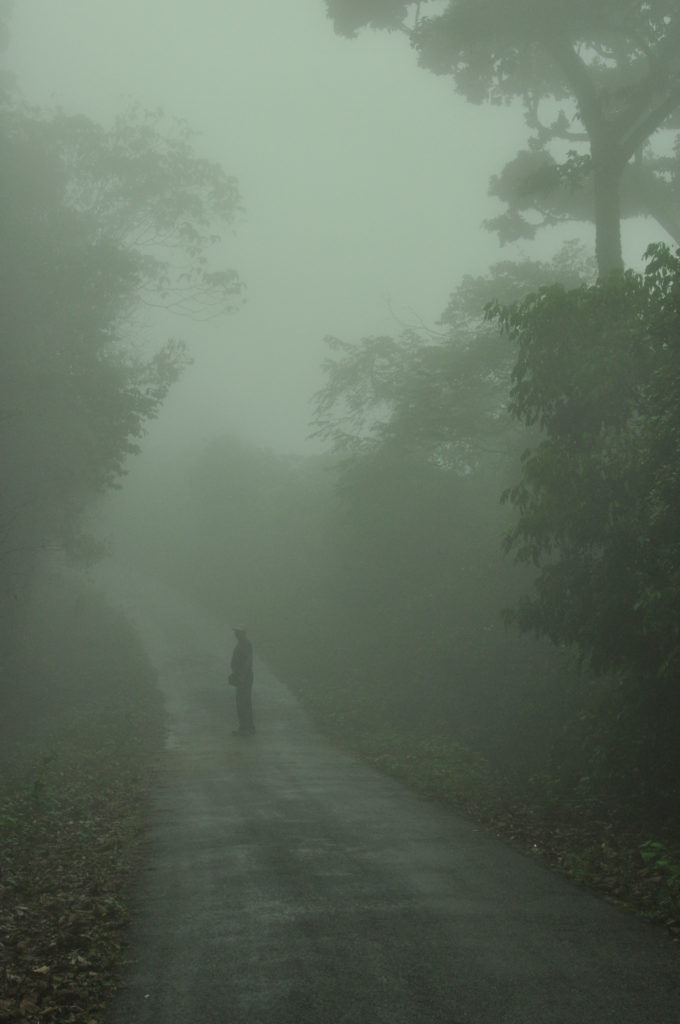 Kundadri Hills during Monsoons, Agumbe.