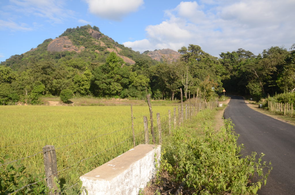 Kundadri Hills, Agumbe.