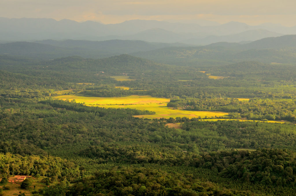 Agumbe , sunset