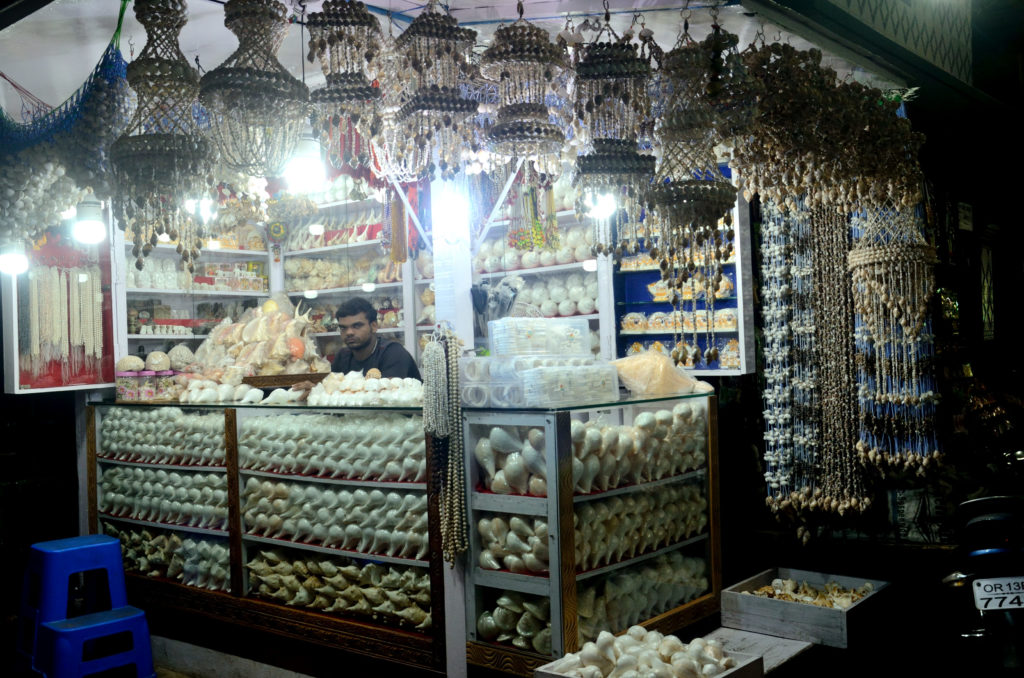 A shop selling varieties of conch shells, Puri, Odisha. 