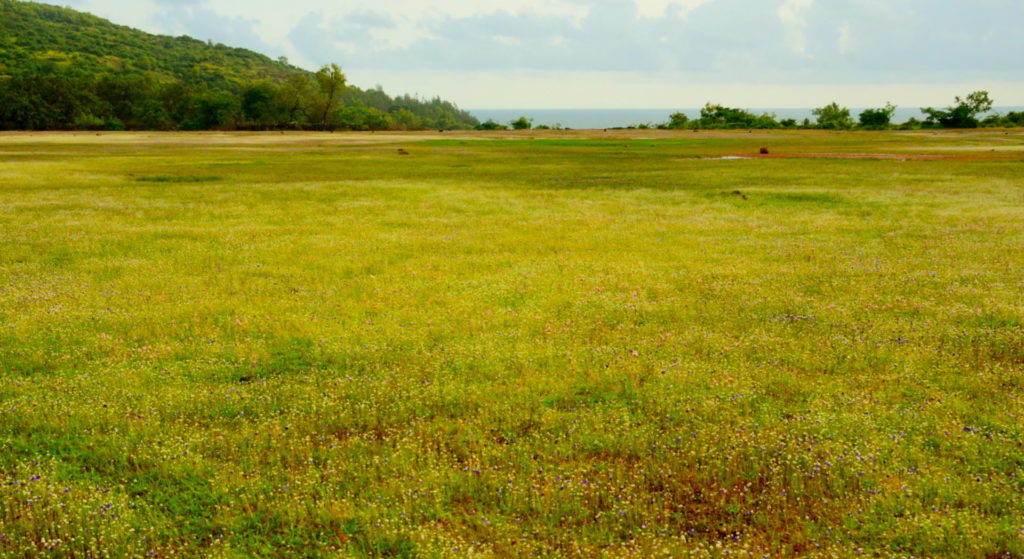 Apsarakonda view point, Karnataka, India.