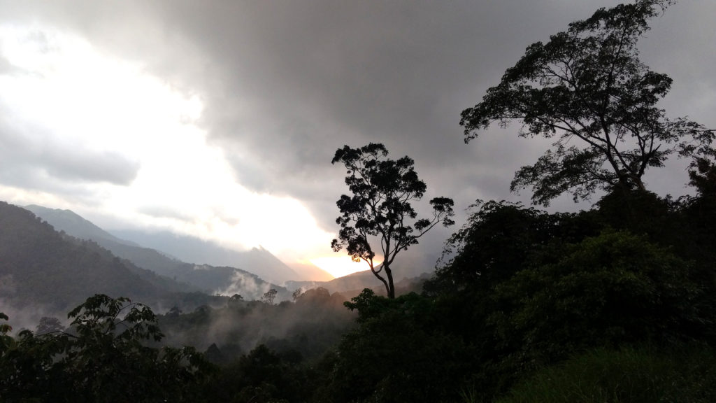 The Western Ghats during the monsoon